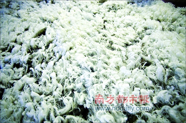 新西兰农场_澳大利亚新西兰_新西兰农场收入(3)