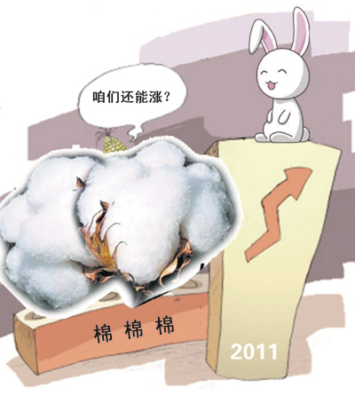 20110110083644836.jpg
