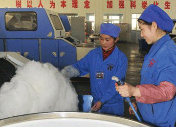 灵武成为全球重要的羊绒产业基地