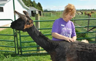Yeagles raise llamas, alpacas at Lindsey farm